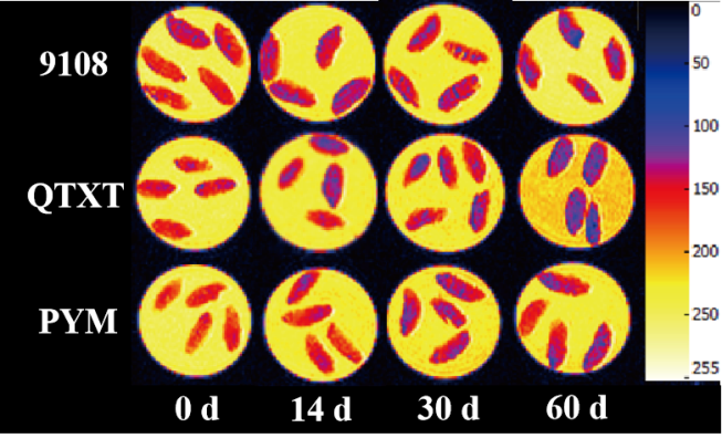 “开云足球杯”江南大学优秀案例解析|不同冷冻储藏期速冻米饭水分分布变化规律探究